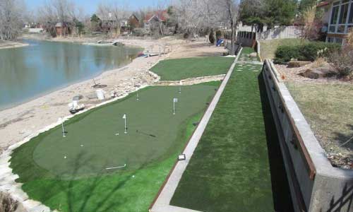 Putting Backyard putting green grass in St. Louis