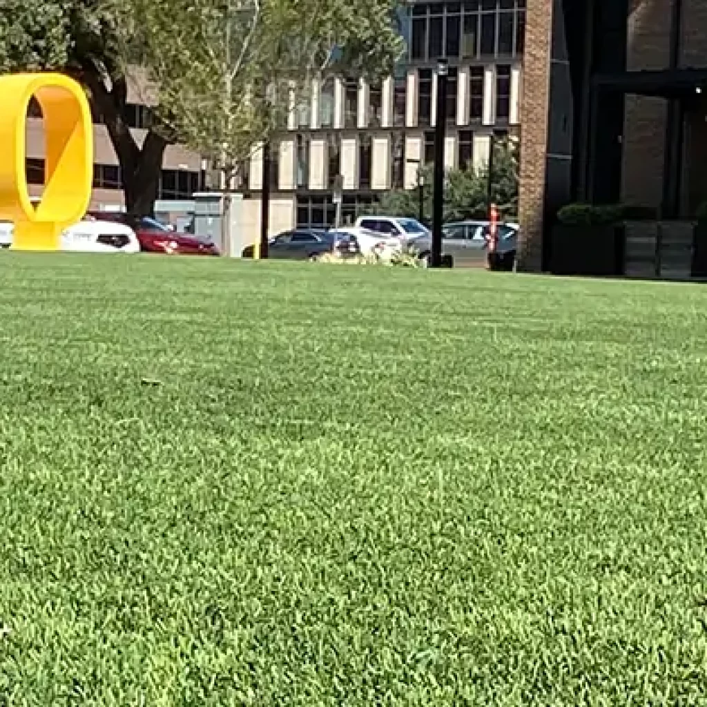 Why Artificial Grass is Perfect for Commercial and Residential Landscaping in St. Louis, MO