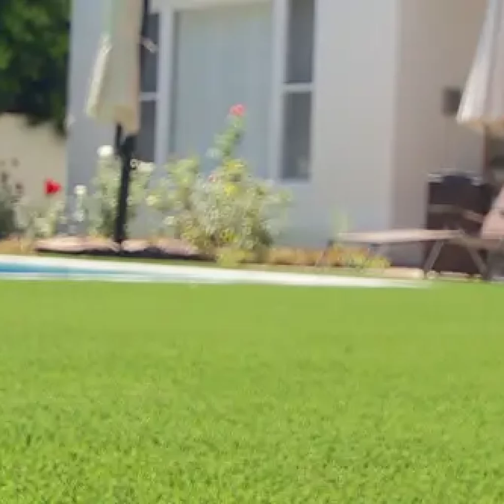 Enhance Your St. Louis, MO, Lawn with Artificial Grass from SYNLawn St. Louis