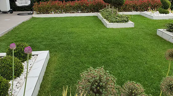 lawn-faq-img