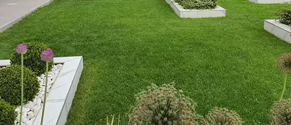 synlawn-stl-turf-lawn-faq-bg synlawn-stl-turf-lawn-faq-bg